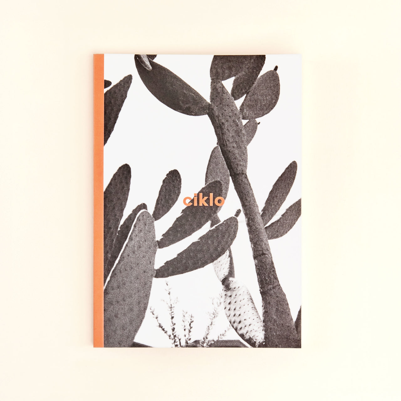 cahier de notes silver lake